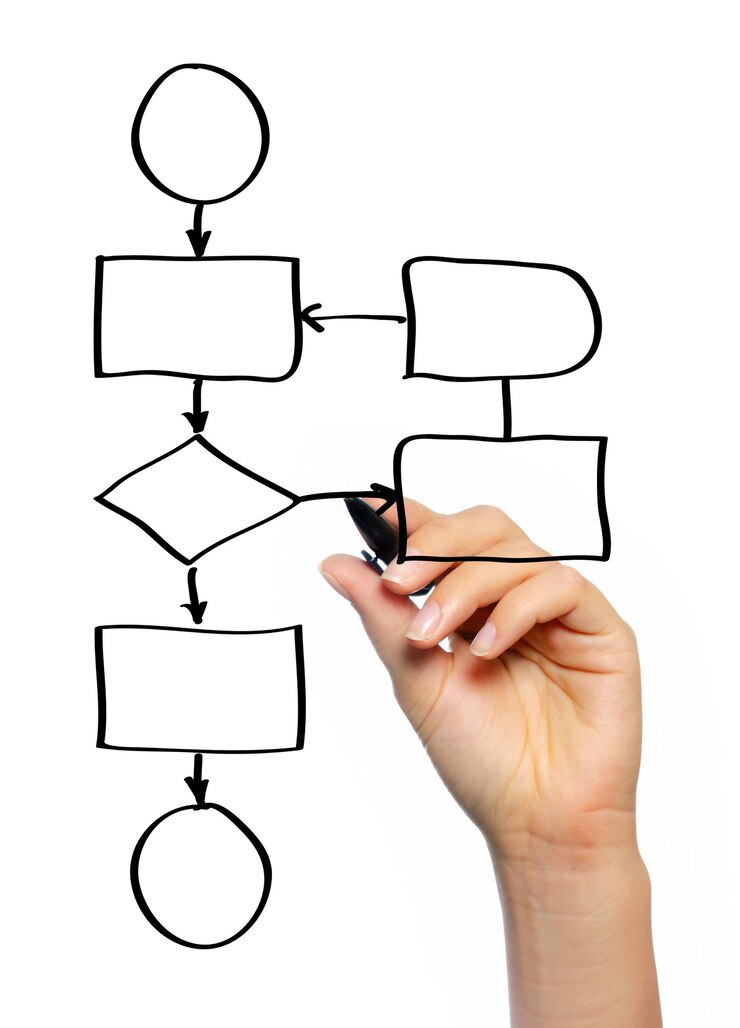 Un'immagine di una mano femminile che disegna un diagramma su sfondo bianco