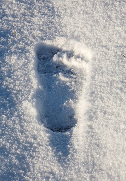 Un'impronta di piedi nudi sulla neve