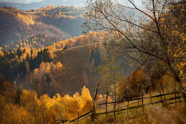 Un incantevole paesaggio montano nei Carpazi, in Romania.