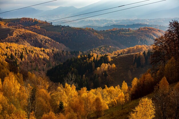 Un incantevole paesaggio montano nei Carpazi, in Romania
