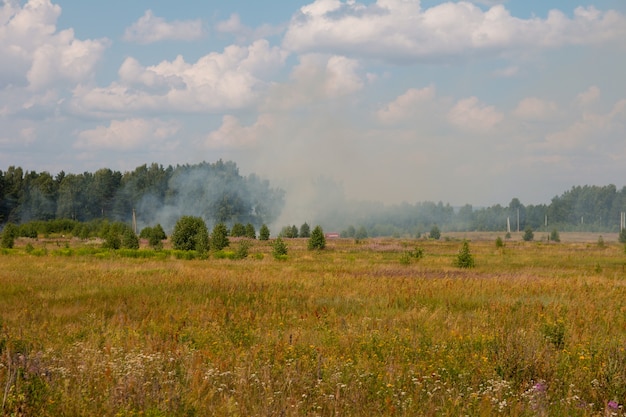 Un incendio boschivo in un campo. Disastro naturale