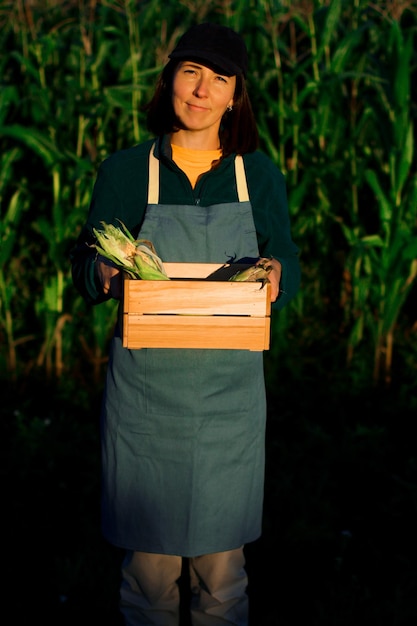 Un ingegnere agricolo femminile un lavoratore raccoglie mais in una scatola di legno in una piccola impresa di campo