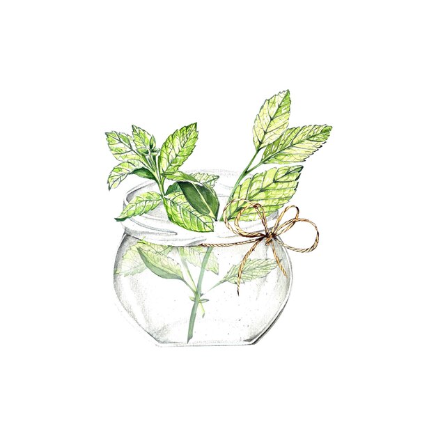 Un insieme di elementi dell'acquerello in menta brillante stile schizzo con set da tè di foglie e fiori