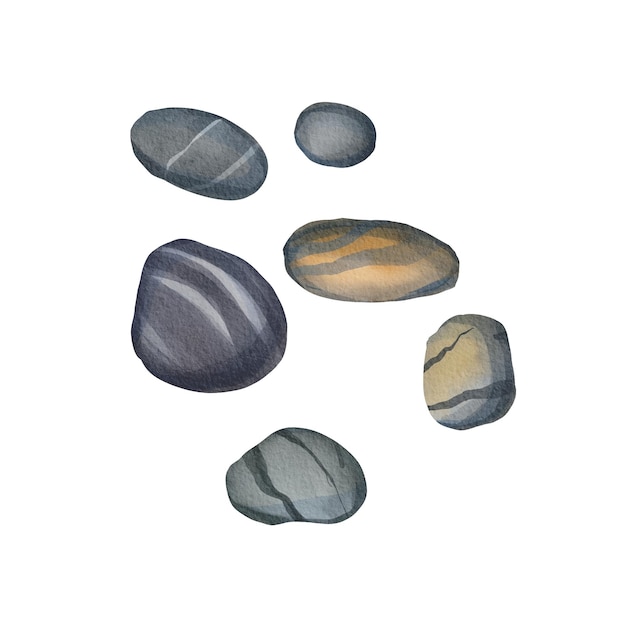 Un insieme di pietre marine di diverse dimensioni isolate su uno sfondo bianco Illustrazione ad acquerello di pietre a strisce grigie Il fondo sottomarino Decorazione dell'acquario Adatto per il pacchetto di design delle etichette