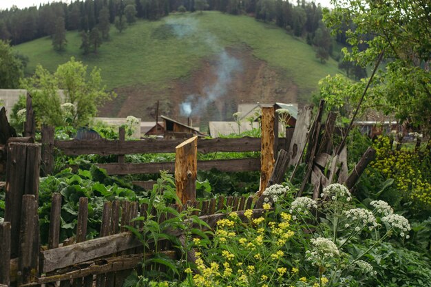 Un interessante scorcio della vita rurale russa.