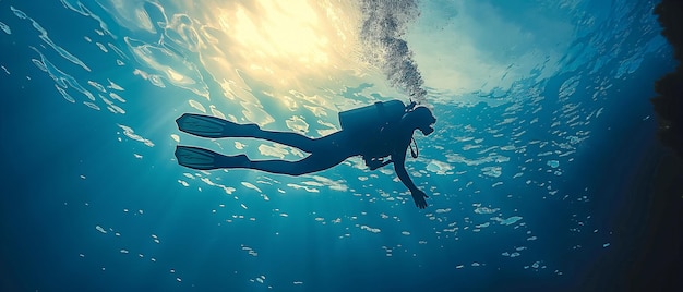 Un intrepido subacqueo che scopre il tranquillo regno sottomarino.