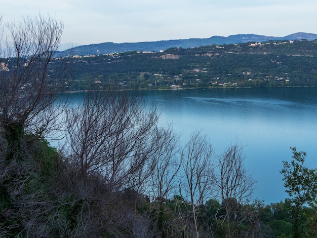 Un lago blu circondato da cespugli verdi, alberi senza foglie in primo piano, un paesaggio dai toni blu scuro