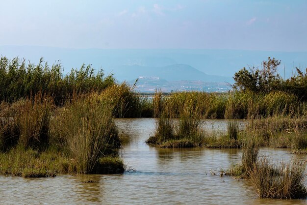 Un lago con una montagna sullo sfondo