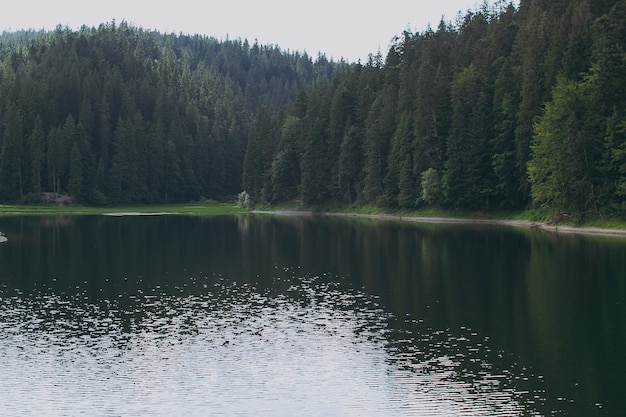 Un lago in montagna con alberi