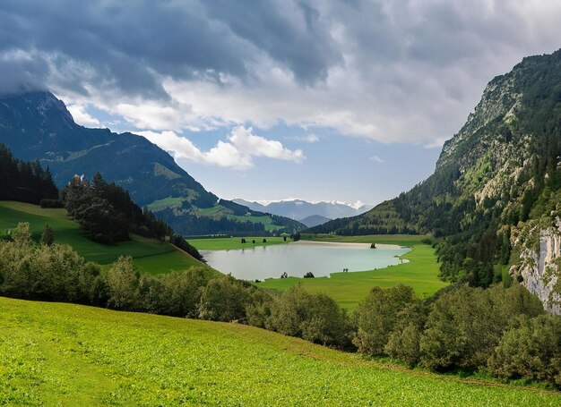 Un lago in montagna con un campo verde e montagne sullo sfondo