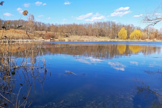 Un lago limpido all'inizio della primavera