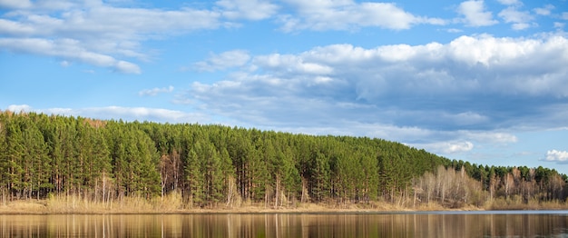 Un lago limpido in una foresta verde. Cielo azzurro con nuvole bianche su un lago nella foresta. Paesaggio della natura.