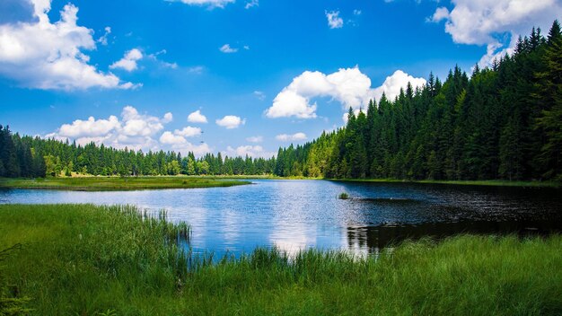 Un lago nella foresta con un cielo blu e nuvole