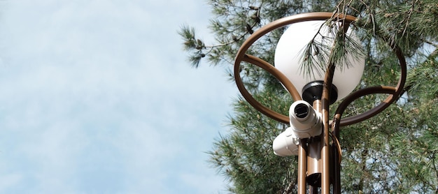 Un lampione con due una telecamera di videosorveglianza installata sullo sfondo di un albero