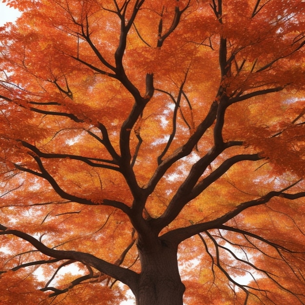 Un maestoso albero autunnale i cui rami sono ornati da un manto di foglie rosse e arancioni