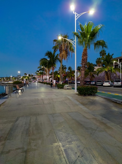 Un malecon di La Paz Messico con palme e un lampione