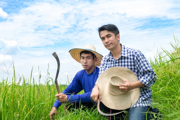 Un maschio di due agricoltori asiatici è inginocchiato sulle risaie verdi, cieli blu-chiaro.