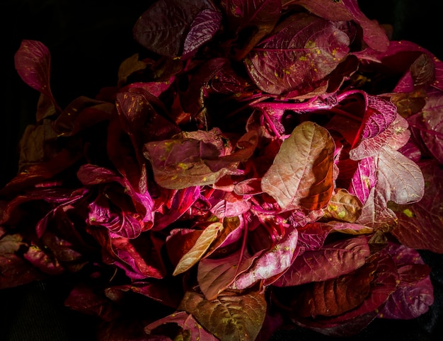 Un mazzetto di spinaci rosso amaranto su un panno nero