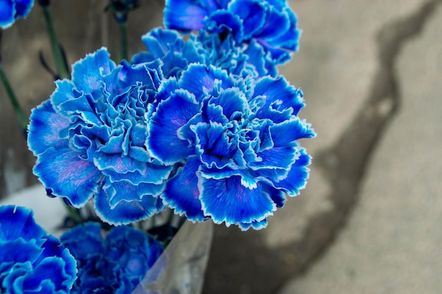 Un mazzo di fiori blu con la scritta geranio sul lato