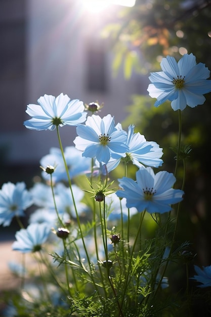 Un mazzo di fiori blu in una pentola con il sole che splende attraverso le foglie.