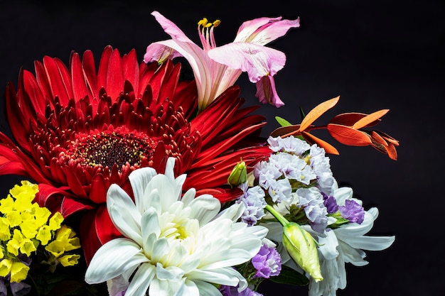 Un mazzo di fiori di gerbere, crisantemi, gigli. Avvicinamento. Riprese macro. Sfondo nero.