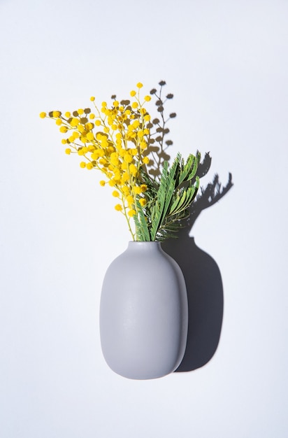 Un mazzo di fiori di mimosa gialla si trova in un vaso di ceramica con ombra su uno sfondo grigio