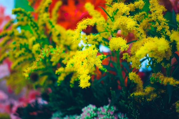 Un mazzo di fiori gialli e rossi