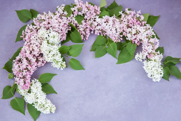 un mazzo di lillà rosa e lillà bianco