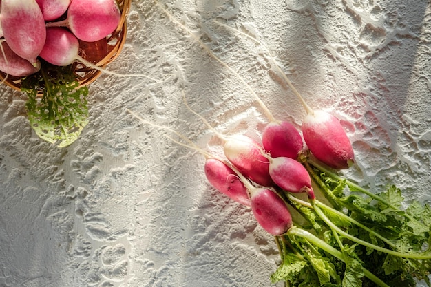 un mazzo di ravanelli fatti in casa giace sulla tavola verdure rosse e verdi su sfondo chiaro