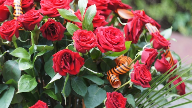 Un mazzo di rose rosse