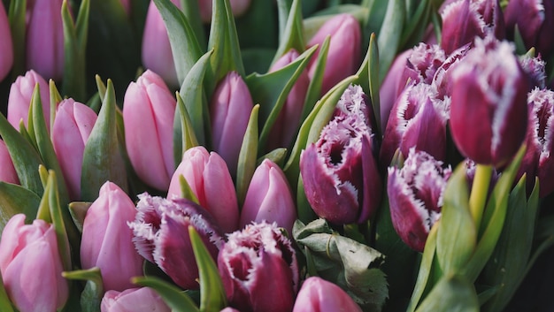 Un mazzo di tulipani con la parola tulipani in basso a sinistra.