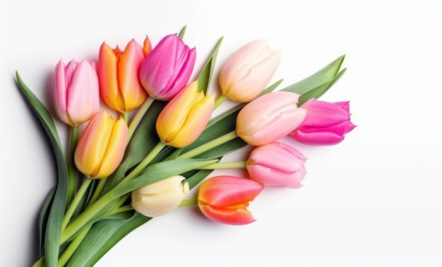 Un mazzo di tulipani con la parola tulipani sul fondo.