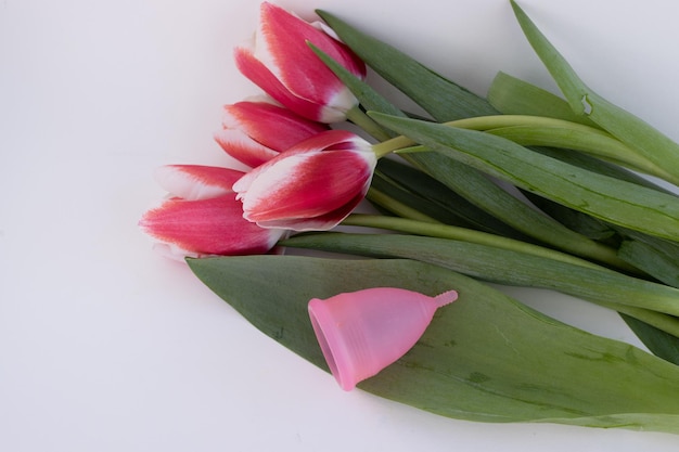 Un mazzo di tulipani rosa con coppetta mestruale in silicone su foglia isolata