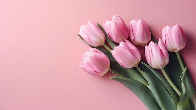 Un mazzo di tulipani rosa su sfondo rosa