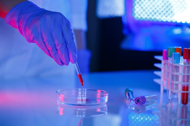 Un medico assistente di laboratorio professionale esegue un'analisi in un laboratorio utilizza provette una pipetta e una capsula di Petri per la presenza di batteri nel corpo umano