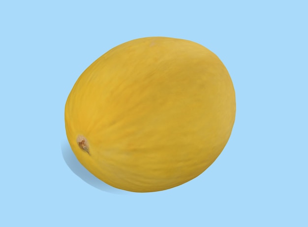 Un melone giallo su sfondo blu