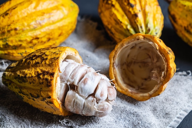 Un mezzo taglio cacao da vicino