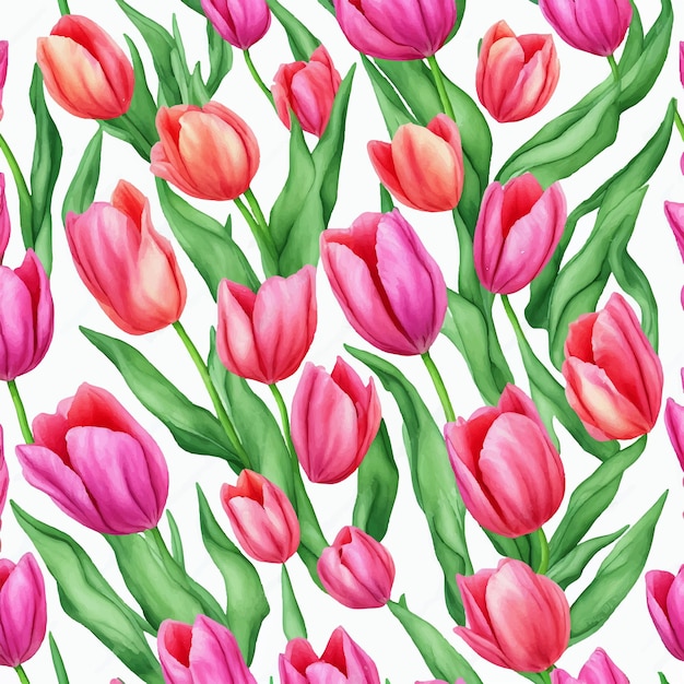 Un motivo senza cuciture di tulipani rosa con foglie verdi su sfondo bianco
