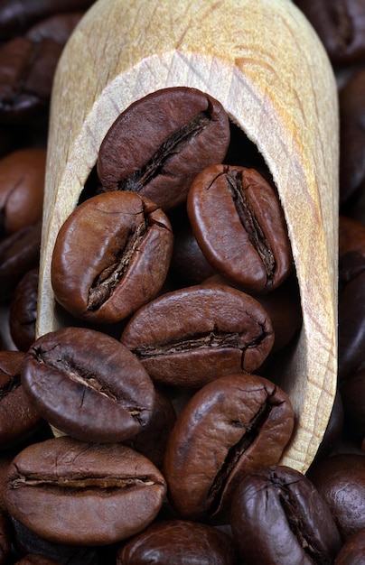 Un mucchio di chicchi di caffè in una scatola