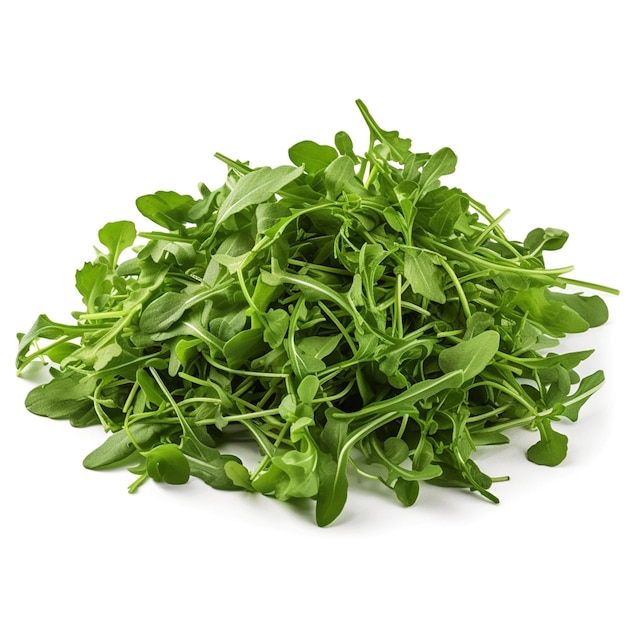 Un mucchio di foglie di rucola verde