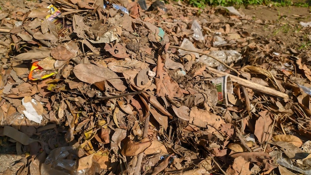 Un mucchio di foglie secche mescolate a rifiuti di plastica