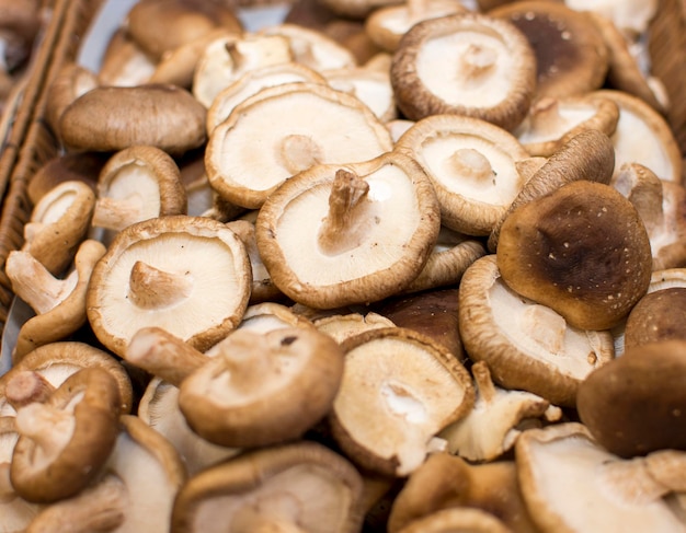 Un mucchio di funghi con quello in alto in basso a sinistra.