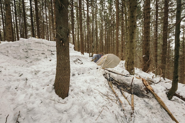 Un mucchio di neve accanto a una foresta