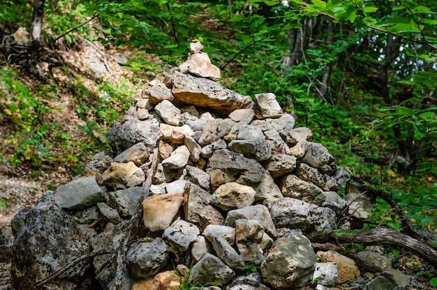 Un mucchio di pietre nel bosco con sopra la parola roccia