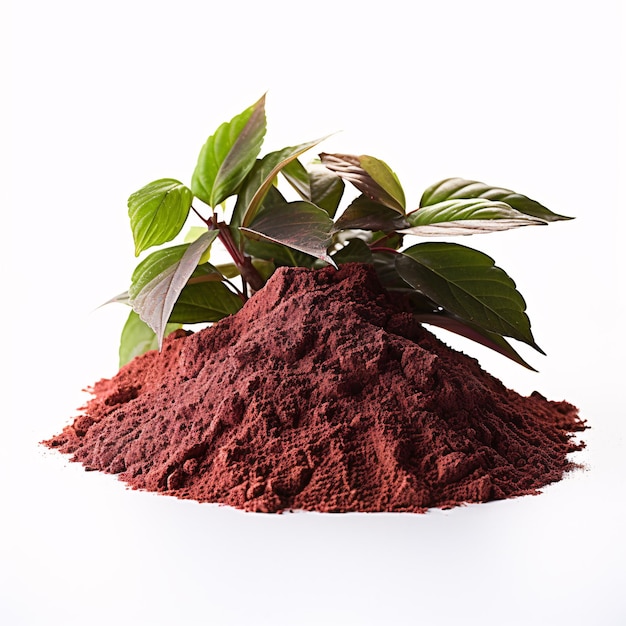 un mucchio di polvere rossa con una pianta che ne cresce
