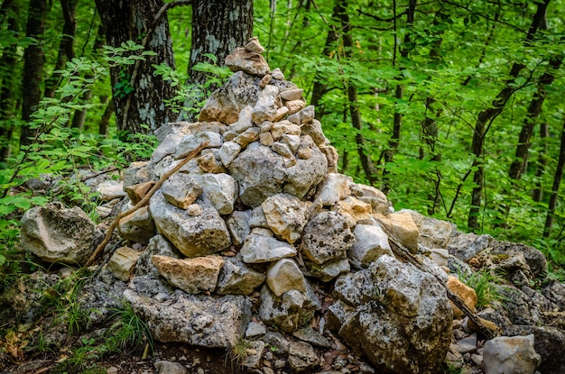 Un mucchio di sassi nel bosco con la scritta "rock" in cima.