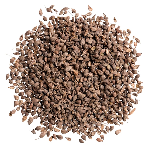 Un mucchio di semi di anice di qualità per il tuo bellissimo giardino