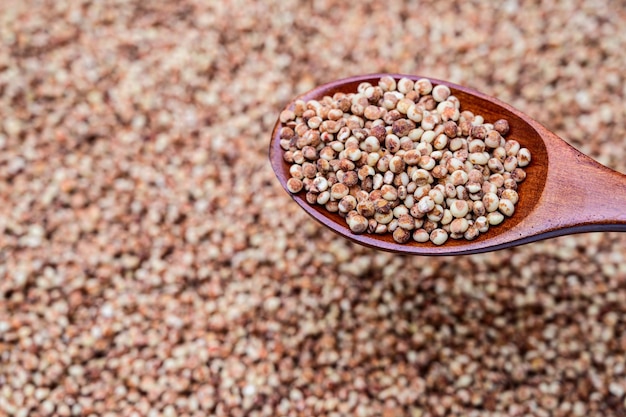 Un mucchio di sorgo e sorgo in un cucchiaio di legno