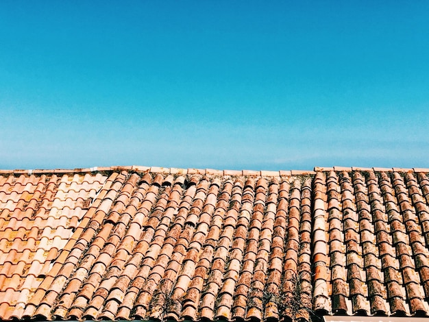Un mucchio di tronchi contro il cielo blu
