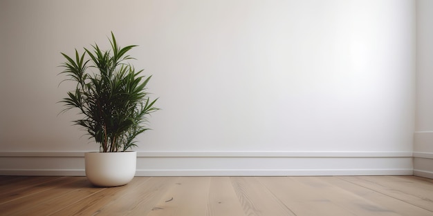 Un muro bianco con una pianta in un vaso bianco